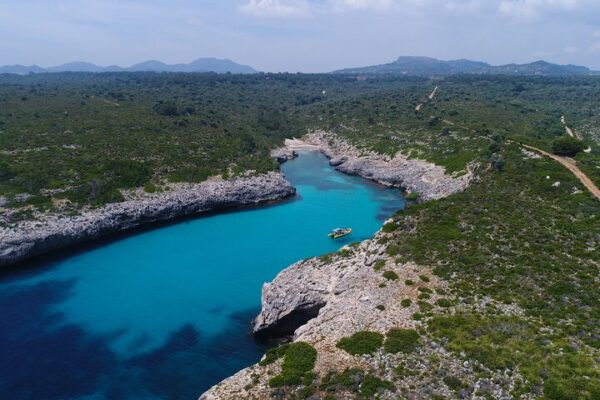 EXPERIENCIA DE EXCURSIÓN DE SNORKELING POR CALAS VÍRGENES - Imagen 5