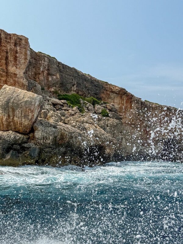 EXPERIENCIA DE EXCURSIÓN DE SNORKELING POR CALAS VÍRGENES - Imagen 11