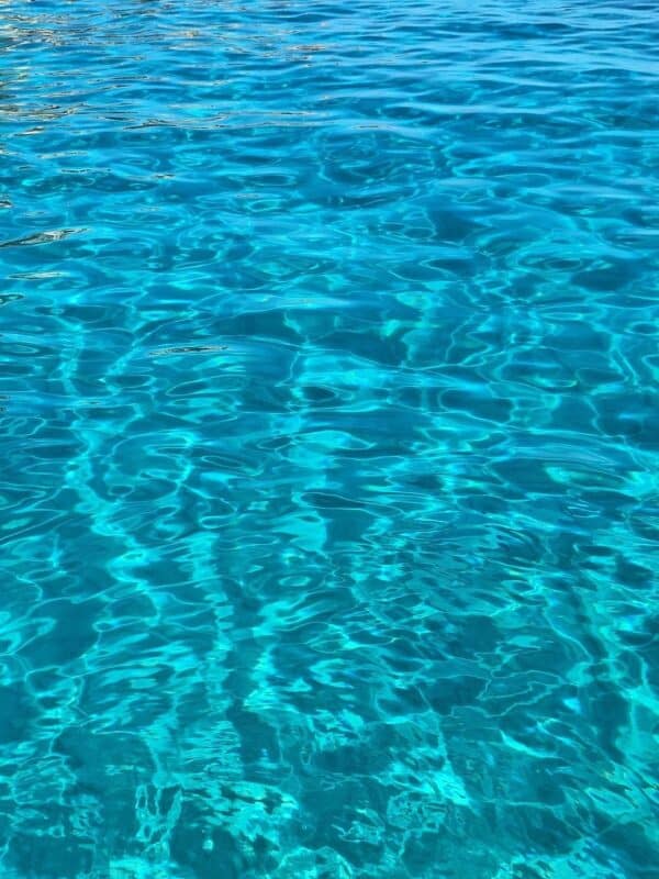 EXPERIENCIA DE EXCURSIÓN DE SNORKELING POR CALAS VÍRGENES - Imagen 12