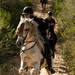 Excursión Antigua Mallorca