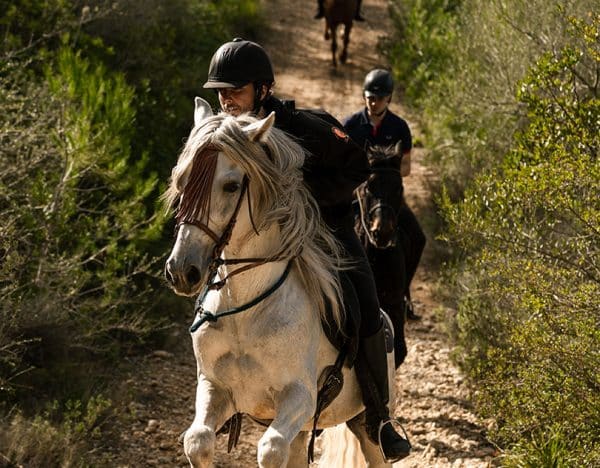 Excursión Antigua Mallorca