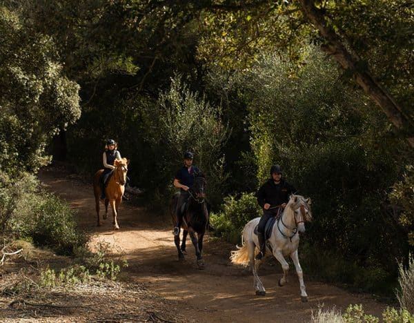 Excursión Antigua Mallorca - Imagen 2