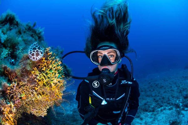 Excursiones de Buceo para Buceadores con Certificación - Imagen 2