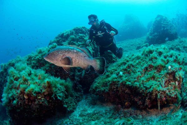 Bautismos de buceo - Imagen 3