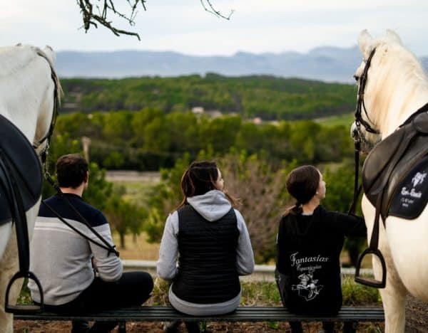 Excursión Atardecer mallorquín - Imagen 2