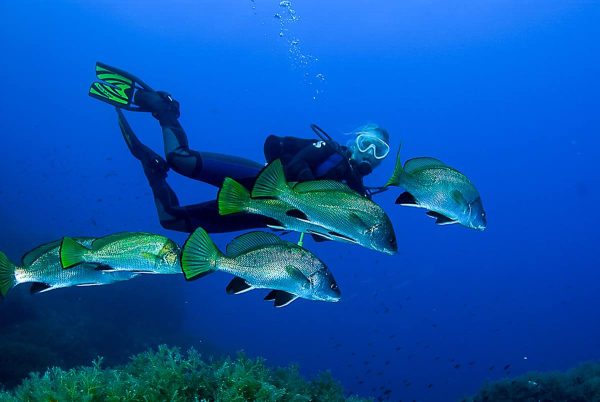 Bautismos de buceo - Imagen 2