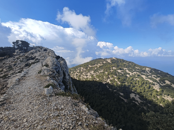 Ruta de Senderismo por el Camino del Arxiduc - Imagen 4