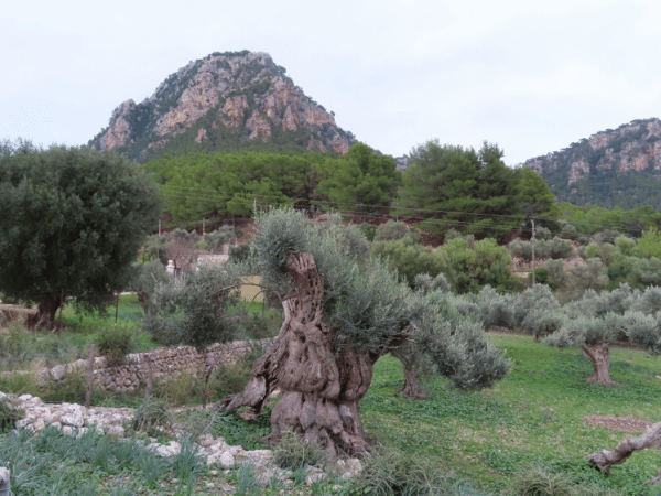 Ruta Camí de s'Escolta - Imagen 2