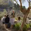 EXPERIENCIA PICNIC MALLORQUÍN ENTRE OLIVOS - Imagen 5