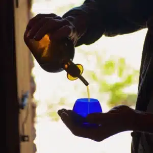 EXPERIENCIA TALLER DE ACEITE DE OLIVA