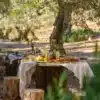 EXPERIENCIA PICNIC MALLORQUÍN ENTRE OLIVOS