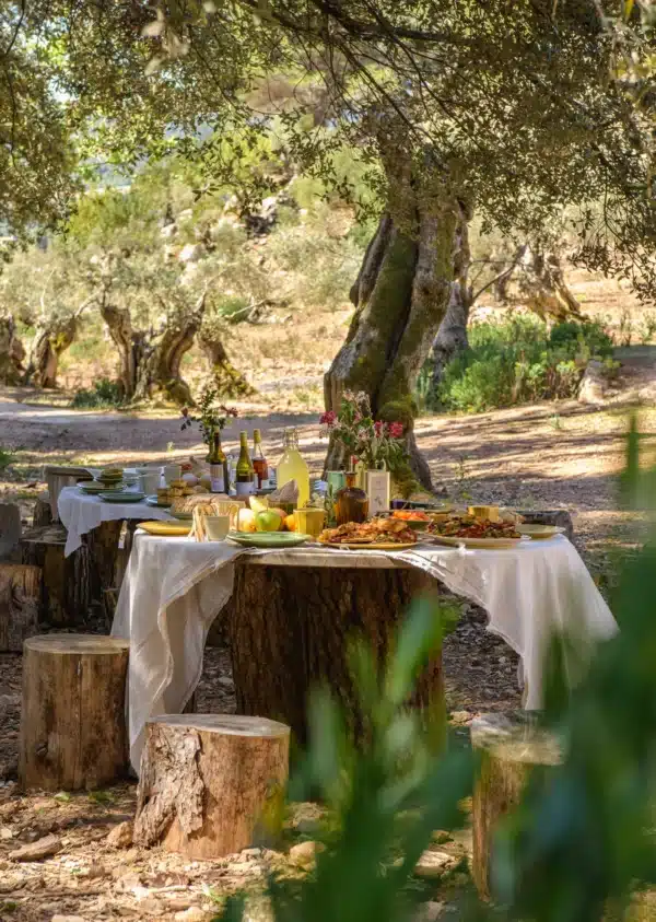 EXPERIENCIA PICNIC MALLORQUÍN ENTRE OLIVOS