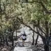EXPERIENCIA DE VISITA A UN REFUGIO DE MONTAÑA CON MERIENDA LOCAL - Imagen 3