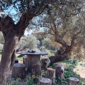 SABALSA TOUR EN VEHICULO CLÁSICO