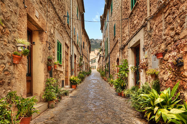 VALLDEMOSSA TOUR PRIVADO 4 HORAS - Imagen 2
