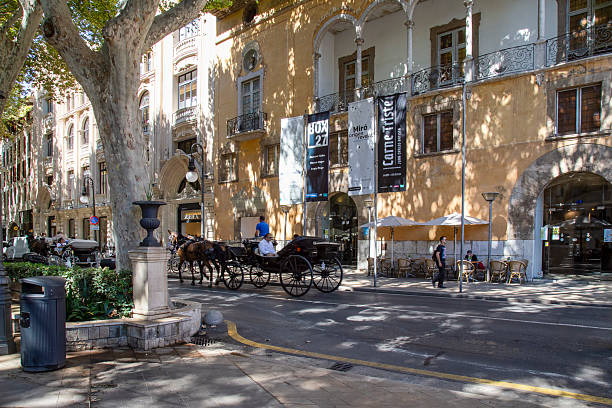 Visita Privada al Casco Antiguo de Palma - Imagen 6