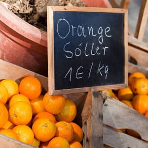 SÓLLER Y LA SERRA DE TRAMUNTANA- Tour Privado